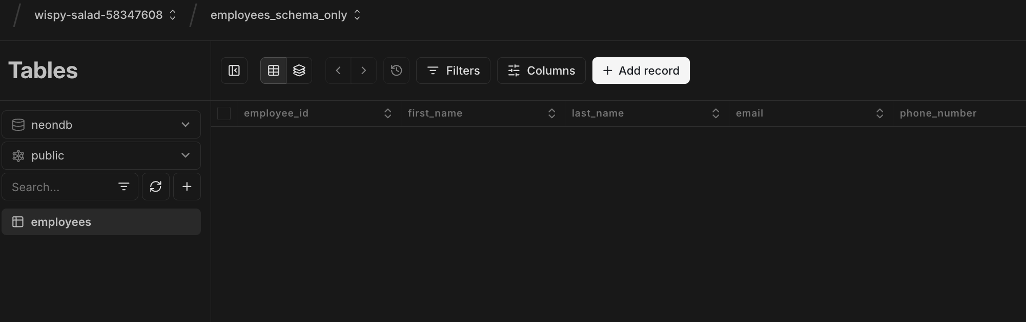 schema-only branch with only the schema
