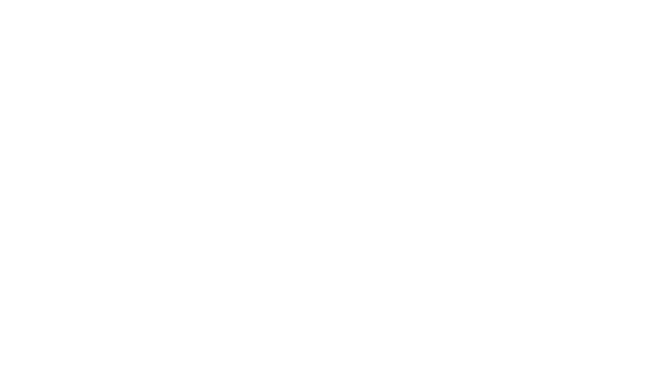tortoise-orm logo