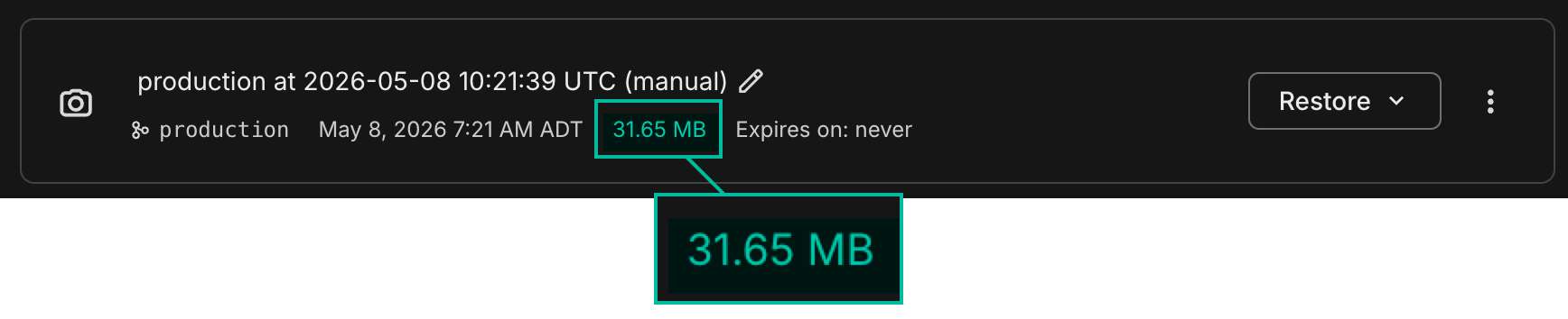Snapshot storage size