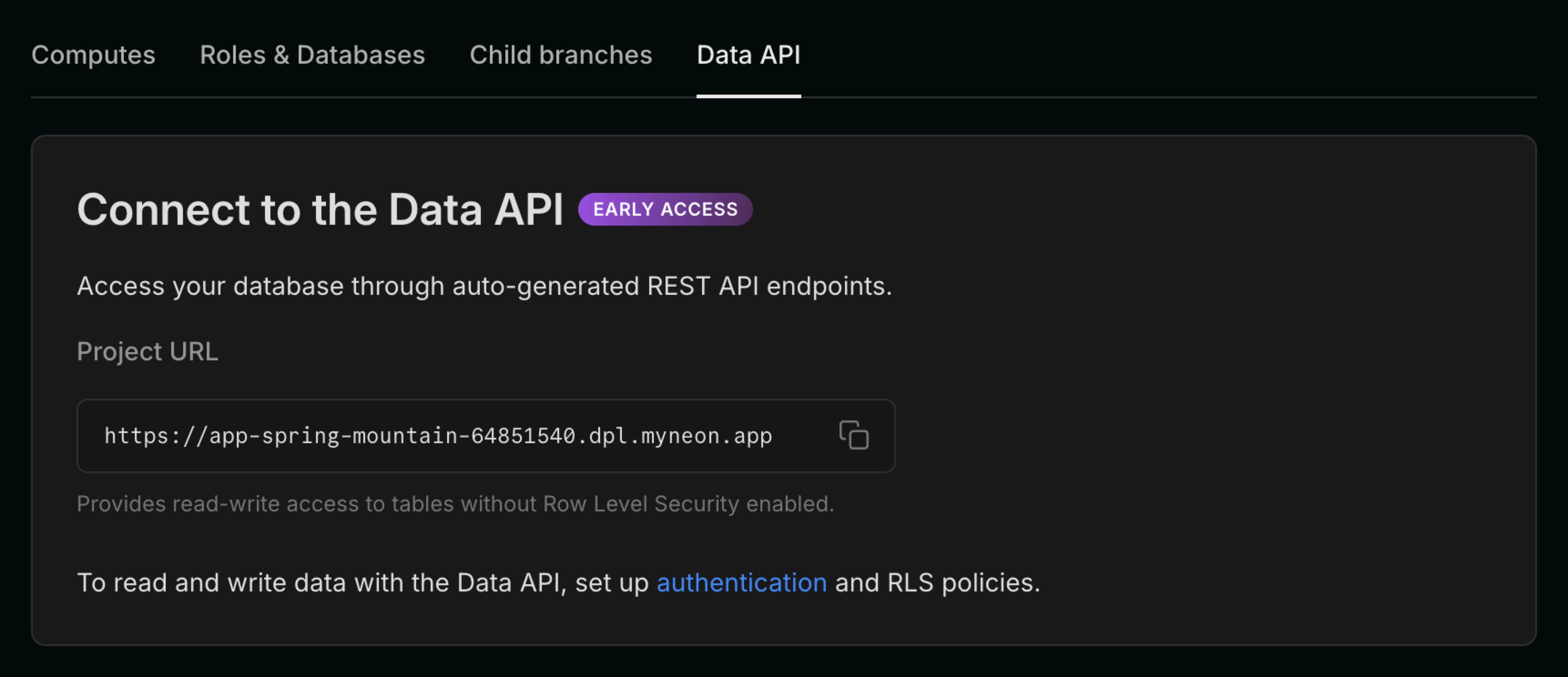 Data API enabled view with Project URL