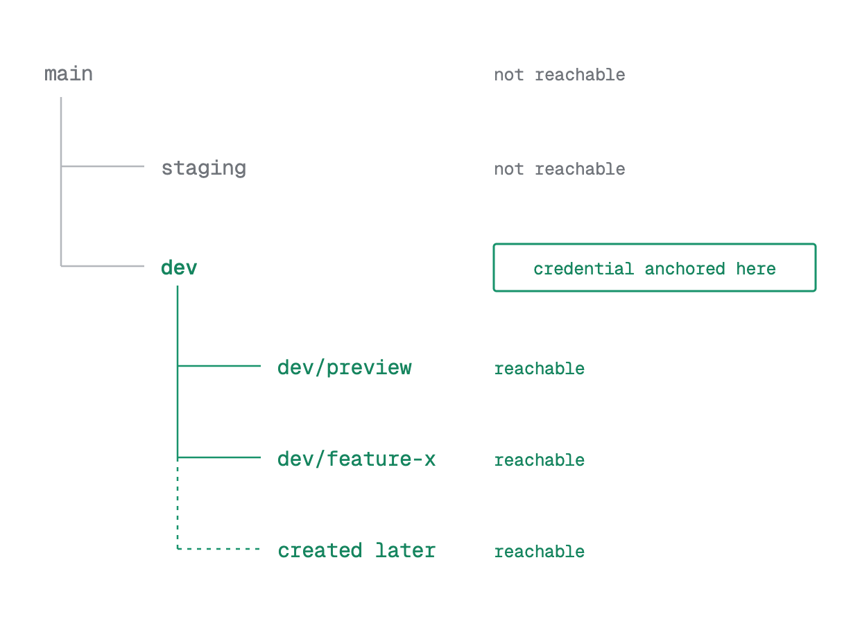 Diagram of a credential anchored on a branch reaching that branch and its descendants but not its ancestors or sibling branches.